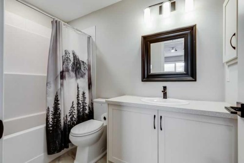 100 Langwell Common Se, Airdrie, AB - Indoor Photo Showing Bathroom