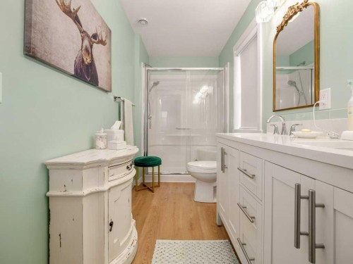 318 Whispering Way, Vulcan, AB - Indoor Photo Showing Bathroom