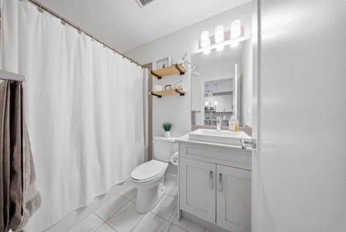 104-20 Walgrove Walk Se, Calgary, AB - Indoor Photo Showing Bathroom