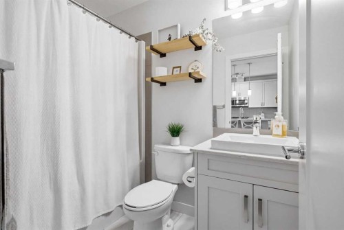 104-20 Walgrove Walk Se, Calgary, AB - Indoor Photo Showing Bathroom
