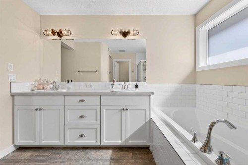 204 Walden Landing Se, Calgary, AB - Indoor Photo Showing Bathroom
