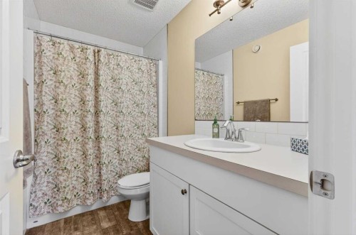204 Walden Landing Se, Calgary, AB - Indoor Photo Showing Bathroom