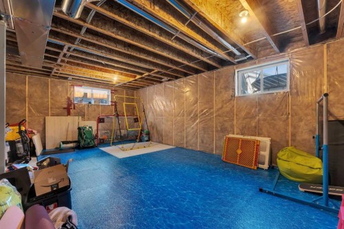 140 Rainbow Falls Heath, Chestermere, AB - Indoor Photo Showing Basement