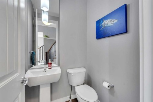 140 Rainbow Falls Heath, Chestermere, AB - Indoor Photo Showing Bathroom