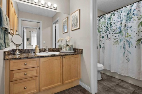 219-8 Prestwick Pond Terrace Se, Calgary, AB - Indoor Photo Showing Bathroom