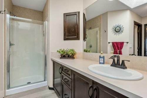 201 Pantego Road Nw, Calgary, AB - Indoor Photo Showing Bathroom