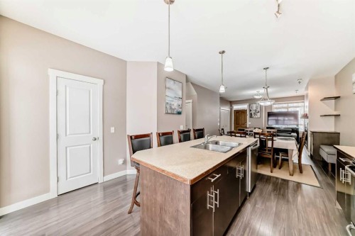 37 Skyview Ranch Gardens Ne, Calgary, AB - Indoor Photo Showing Kitchen With Double Sink