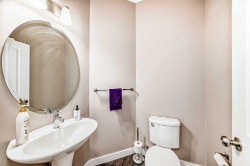 37 Skyview Ranch Gardens Ne, Calgary, AB - Indoor Photo Showing Bathroom