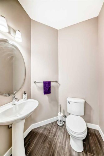 37 Skyview Ranch Gardens Ne, Calgary, AB - Indoor Photo Showing Bathroom