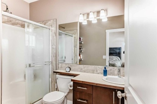 37 Skyview Ranch Gardens Ne, Calgary, AB - Indoor Photo Showing Bathroom