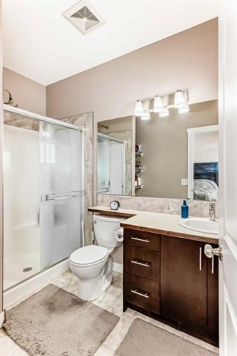 37 Skyview Ranch Gardens Ne, Calgary, AB - Indoor Photo Showing Bathroom
