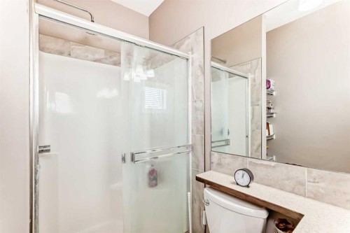 37 Skyview Ranch Gardens Ne, Calgary, AB - Indoor Photo Showing Bathroom