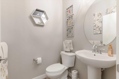 173 Auburn Sound Close Se, Calgary, AB - Indoor Photo Showing Bathroom