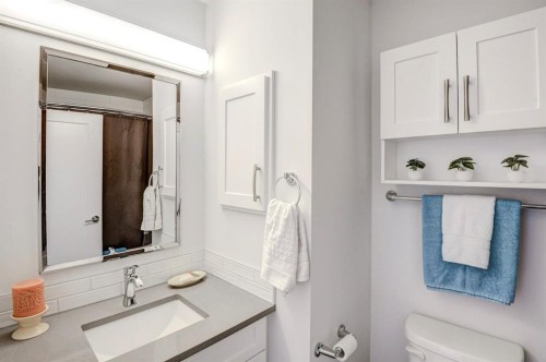 7024 20 Street Se, Calgary, AB - Indoor Photo Showing Bathroom