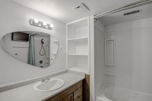 7024 20 Street Se, Calgary, AB - Indoor Photo Showing Bathroom