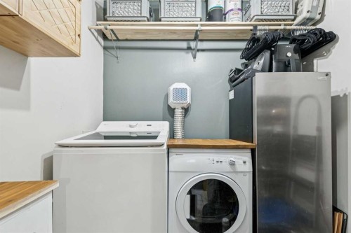 203-431 1 Avenue Ne, Calgary, AB - Indoor Photo Showing Laundry Room