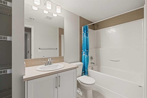 106-55 Fireside Circle, Cochrane, AB - Indoor Photo Showing Bathroom