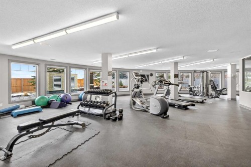 137-52 Cranfield Link Se, Calgary, AB - Indoor Photo Showing Gym Room