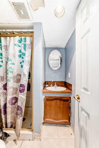 5411 Temple Road Ne, Calgary, AB - Indoor Photo Showing Bathroom