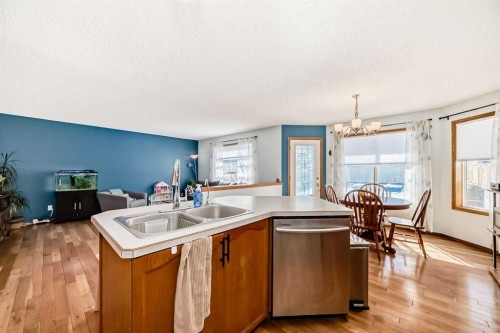 15 Citadel Meadow Grove Nw, Calgary, AB - Indoor Photo Showing Kitchen With Double Sink