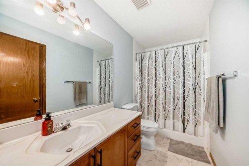 15 Citadel Meadow Grove Nw, Calgary, AB - Indoor Photo Showing Bathroom