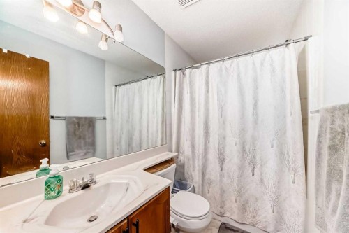15 Citadel Meadow Grove Nw, Calgary, AB - Indoor Photo Showing Bathroom