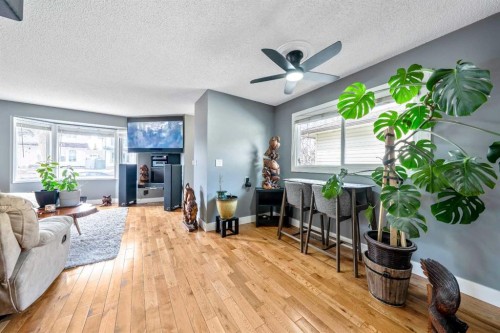 28 Riverbirch Place Se, Calgary, AB - Indoor Photo Showing Living Room