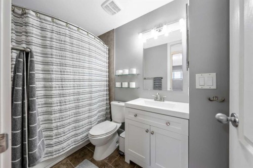 28 Riverbirch Place Se, Calgary, AB - Indoor Photo Showing Bathroom