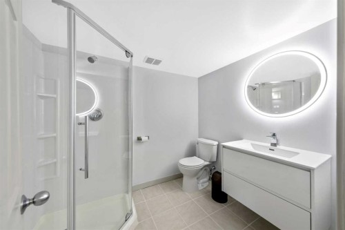 28 Riverbirch Place Se, Calgary, AB - Indoor Photo Showing Bathroom