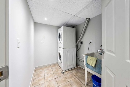 28 Riverbirch Place Se, Calgary, AB - Indoor Photo Showing Laundry Room