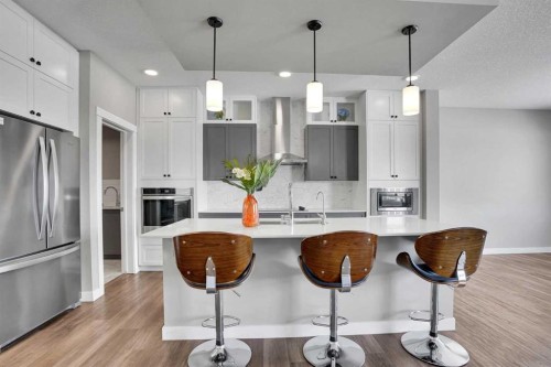 47 Corner Meadows Row Ne, Calgary, AB - Indoor Photo Showing Kitchen With Upgraded Kitchen