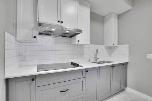 47 Corner Meadows Row Ne, Calgary, AB - Indoor Photo Showing Kitchen With Double Sink