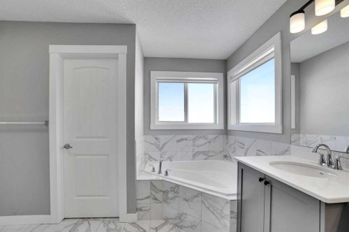 47 Corner Meadows Row Ne, Calgary, AB - Indoor Photo Showing Bathroom