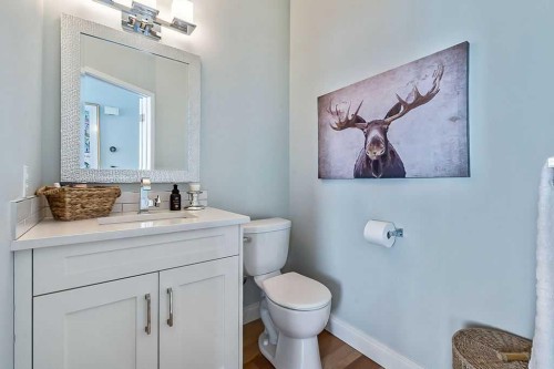 119 Citadel Lane Nw, Calgary, AB - Indoor Photo Showing Bathroom