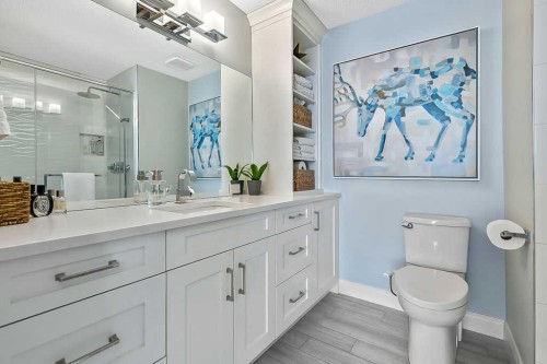 119 Citadel Lane Nw, Calgary, AB - Indoor Photo Showing Bathroom