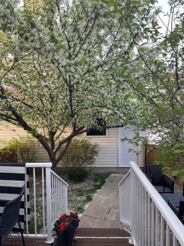 119 Citadel Lane Nw, Calgary, AB - Outdoor