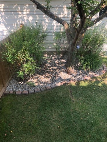 119 Citadel Lane Nw, Calgary, AB - Outdoor