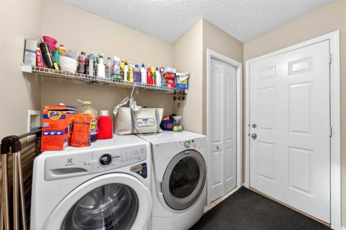 238 Royal Birch View Nw, Calgary, AB - Indoor Photo Showing Laundry Room