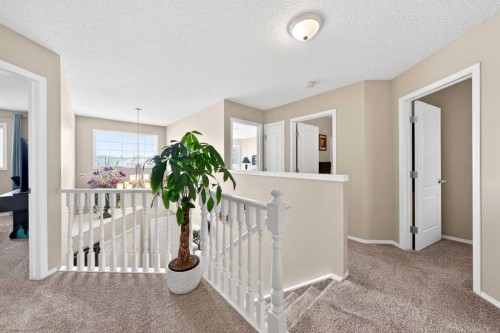 238 Royal Birch View Nw, Calgary, AB - Indoor Photo Showing Other Room