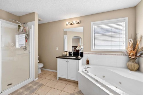 238 Royal Birch View Nw, Calgary, AB - Indoor Photo Showing Bathroom