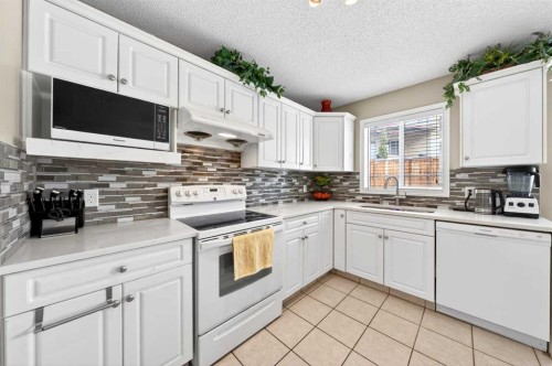 238 Royal Birch View Nw, Calgary, AB - Indoor Photo Showing Kitchen
