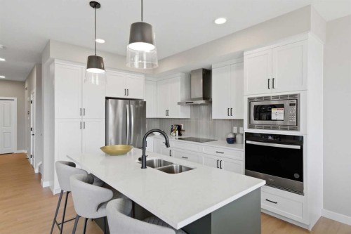 147 Belvedere Crescent Se, Calgary, AB - Indoor Photo Showing Kitchen With Double Sink With Upgraded Kitchen