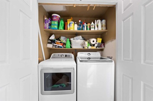 79 Macewan Meadow Rise Nw, Calgary, AB - Indoor Photo Showing Laundry Room