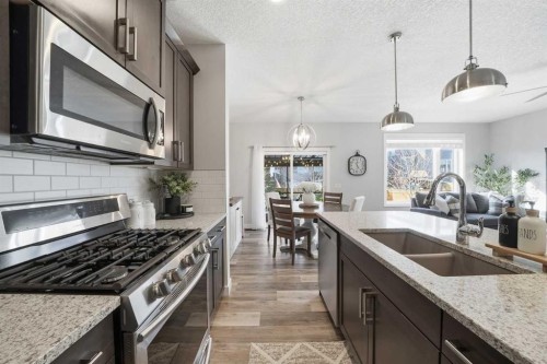 141 Willow Park, Cochrane, AB - Indoor Photo Showing Kitchen With Double Sink With Upgraded Kitchen