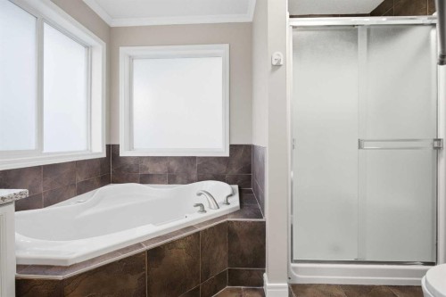 275 Chapalina Terrace Se, Calgary, AB - Indoor Photo Showing Bathroom