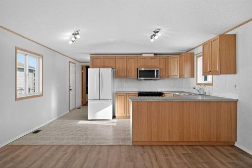 125 Erin Woods Circle Se, Calgary, AB - Indoor Photo Showing Kitchen