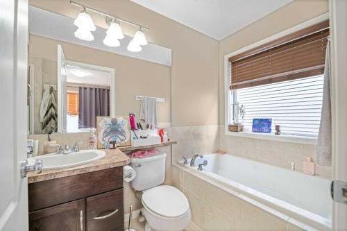 46 Autumn Crescent Se, Calgary, AB - Indoor Photo Showing Bathroom