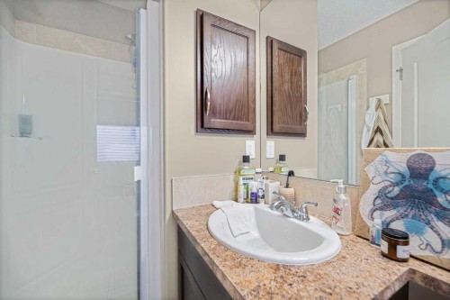 46 Autumn Crescent Se, Calgary, AB - Indoor Photo Showing Bathroom