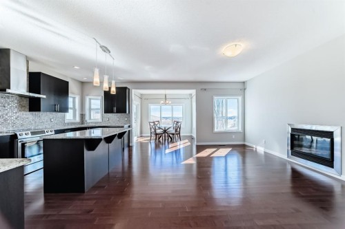 20 Walden Green Se, Calgary, AB - Indoor With Fireplace