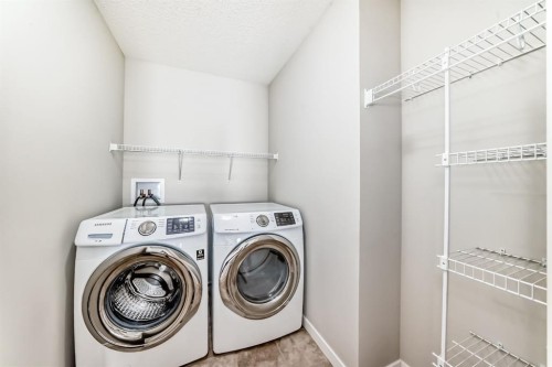 20 Walden Green Se, Calgary, AB - Indoor Photo Showing Laundry Room